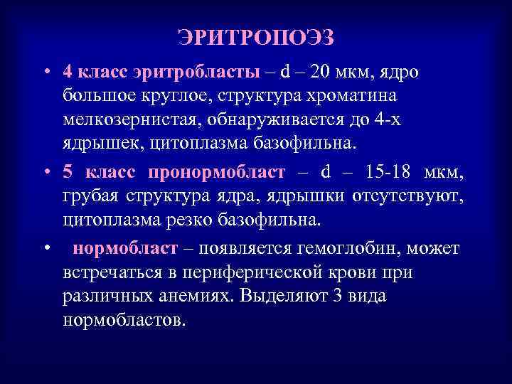 ЭРИТРОПОЭЗ • 4 класс эритробласты – d – 20 мкм, ядро большое круглое, структура