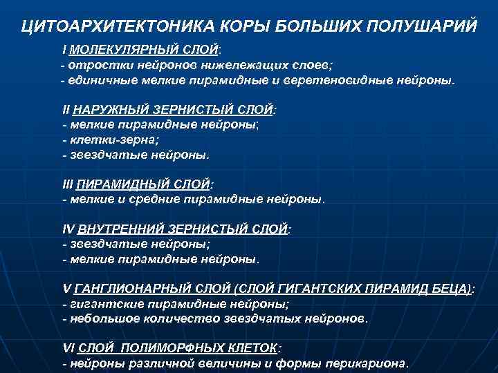 ЦИТОАРХИТЕКТОНИКА КОРЫ БОЛЬШИХ ПОЛУШАРИЙ I МОЛЕКУЛЯРНЫЙ СЛОЙ: - отростки нейронов нижележащих слоев; - единичные