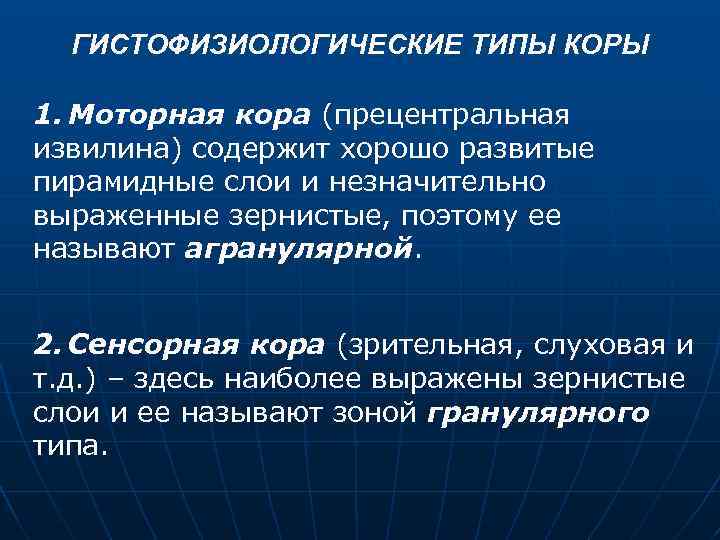 ГИСТОФИЗИОЛОГИЧЕСКИЕ ТИПЫ КОРЫ 1. Моторная кора (прецентральная извилина) содержит хорошо развитые пирамидные слои и