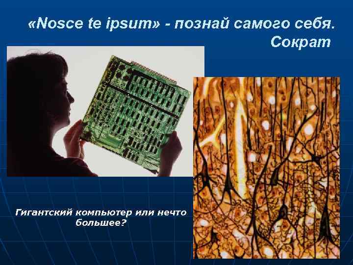  «Nosce te ipsum» - познай самого себя. Сократ Гигантский компьютер или нечто большее?