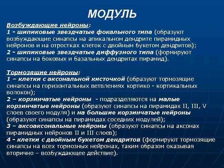 МОДУЛЬ Возбуждающие нейроны: 1 - шипиковые звездчатые фокального типа (образуют возбуждающие синапсы на апикальном