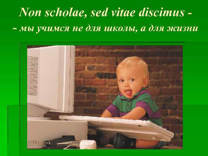 Non scholae, sed vitae discimus - мы учимся не для школы, а для жизни