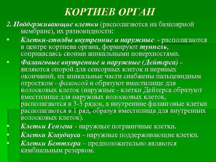 Кортиев орган строение гистология. Кортиев орган клетки. Сустентоциты (клетки сертоли). Поддерживающие клетки. Внутренние поддерживающие клетки.