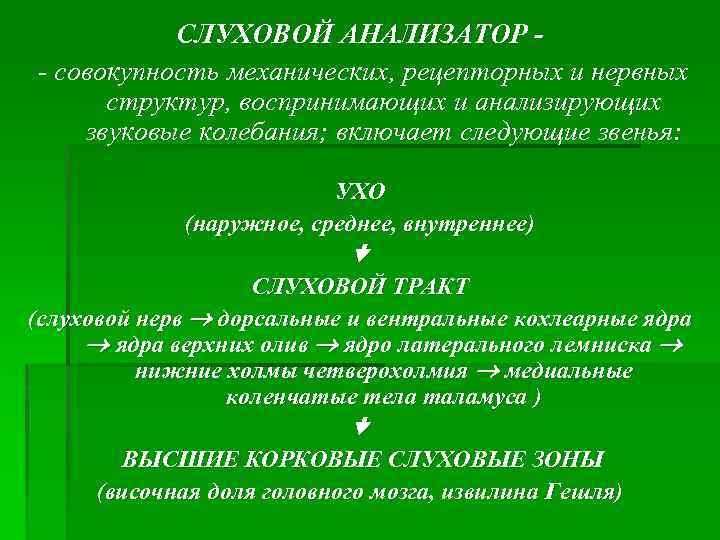 СЛУХОВОЙ АНАЛИЗАТОР - совокупность механических, рецепторных и нервных структур, воспринимающих и анализирующих звуковые колебания;