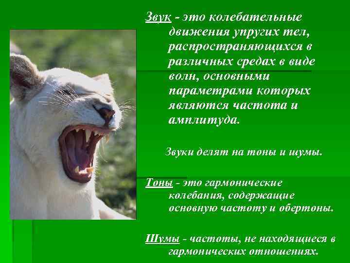 Звук - это колебательные движения упругих тел, распространяющихся в различных средах в виде волн,