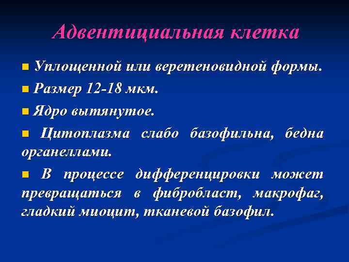 Адвентициальная клетка n Уплощенной или веретеновидной формы. n Размер 12 -18 мкм. n Ядро