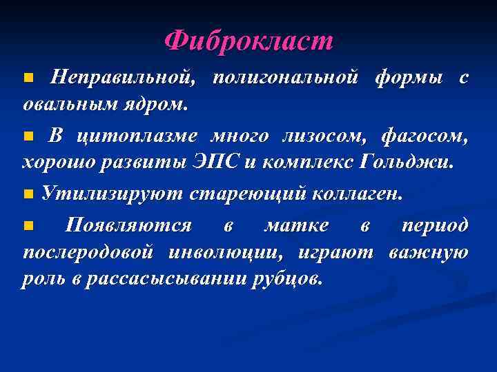 Фиброкласт n Неправильной, полигональной формы с овальным ядром. n В цитоплазме много лизосом, фагосом,