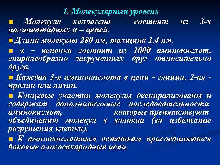 1. Молекулярный уровень n Молекула коллагена состоит из 3 -х полипептидных α – цепей.