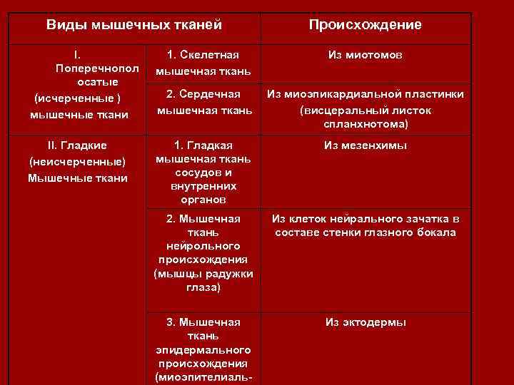 Виды мышечных тканей I. Поперечнопол осатые (исчерченные ) мышечные ткани II. Гладкие (неисчерченные) Мышечные