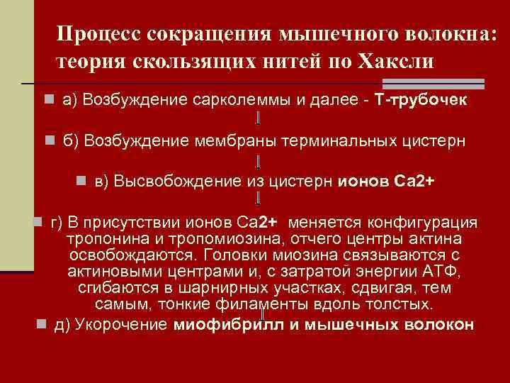 Процесс сокращения мышечного волокна: теория скользящих нитей по Хаксли n а) Возбуждение сарколеммы и