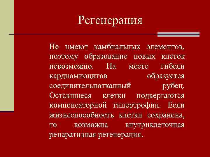 Регенерация Не имеют камбиальных элементов, поэтому образование новых клеток невозможно. На месте гибели кардиомиоцитов
