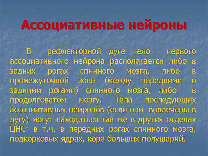 Ассоциативные нейроны В рефлекторной дуге тело первого ассоциативного нейрона располагается либо в задних рогах