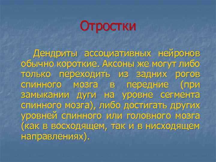 Отростки Дендриты ассоциативных нейронов обычно короткие. Аксоны же могут либо только переходить из задних