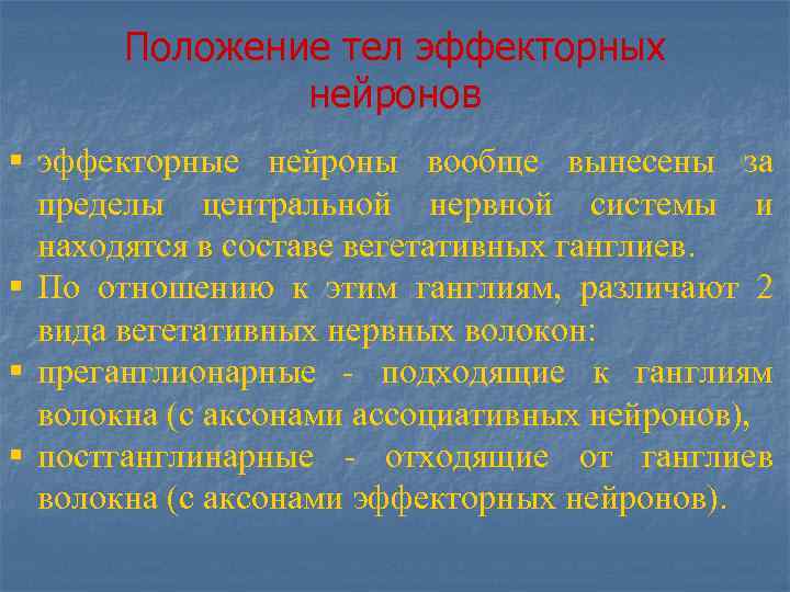 Положение тел эффекторных нейронов § эффекторные нейроны вообще вынесены за пределы центральной нервной системы