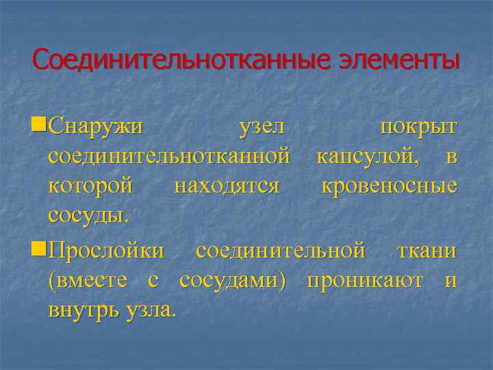 Соединительнотканные элементы n. Снаружи узел покрыт соединительнотканной капсулой, в которой находятся кровеносные сосуды. n.
