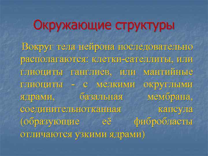 Окружающие структуры Вокруг тела нейрона последовательно располагаются: клетки-сателлиты, или глиоциты ганглиев, или мантийные глиоциты