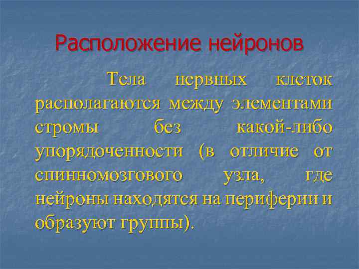 Расположение нейронов Тела нервных клеток располагаются между элементами стромы без какой-либо упорядоченности (в отличие