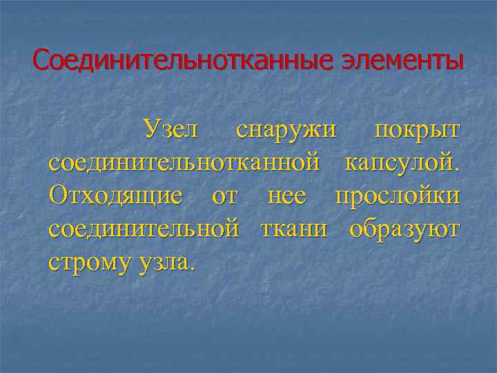 Соединительнотканные элементы Узел снаружи покрыт соединительнотканной капсулой. Отходящие от нее прослойки соединительной ткани образуют