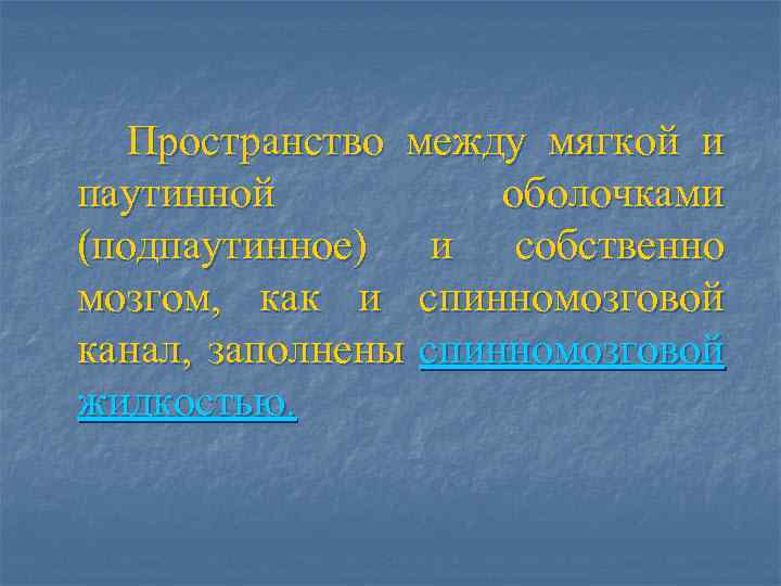 Пространство между мягкой и паутинной оболочками (подпаутинное) и собственно мозгом, как и спинномозговой канал,