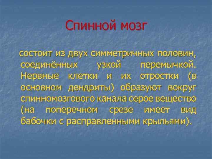 Спинной мозг состоит из двух симметричных половин, соединённых узкой перемычкой. Нервные клетки и их
