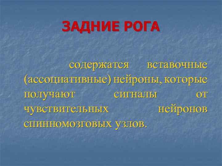 ЗАДНИЕ РОГА содержатся вставочные (ассоциативные) нейроны, которые получают сигналы от чувствительных нейронов спинномозговых узлов.