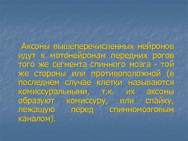  Аксоны вышеперечисленных нейронов идут к мотонейронам передних рогов того же сегмента спинного мозга