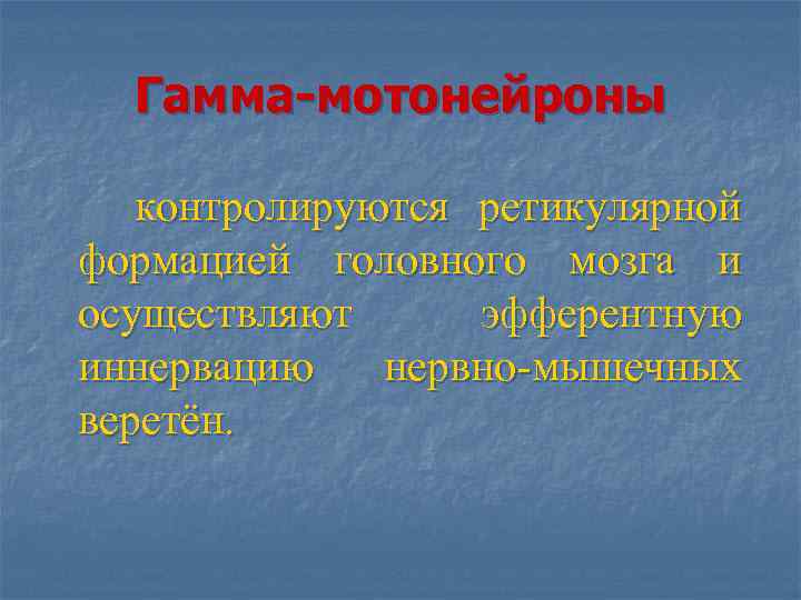 Гамма-мотонейроны контролируются ретикулярной формацией головного мозга и осуществляют эфферентную иннервацию нервно-мышечных веретён. 