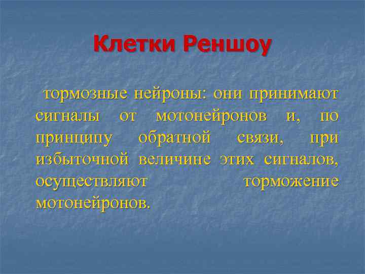 Клетки Реншоу тормозные нейроны: они принимают сигналы от мотонейронов и, по принципу обратной связи,