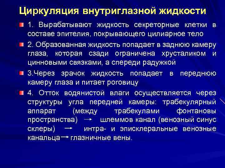 Циркуляция внутриглазной жидкости 1. Вырабатывают жидкость секреторные клетки в составе эпителия, покрывающего цилиарное тело