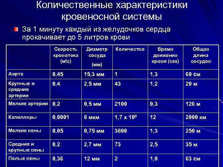 Характеристика сердца