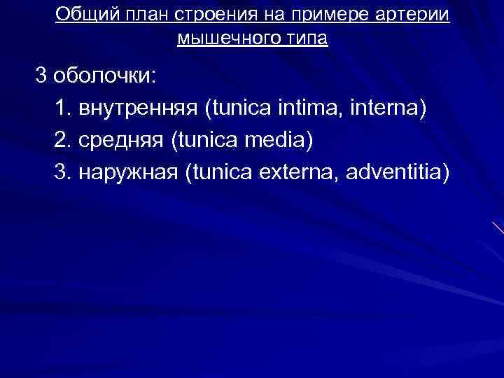 Общий план строения на примере артерии мышечного типа 3 оболочки: 1. внутренняя (tunica intima,