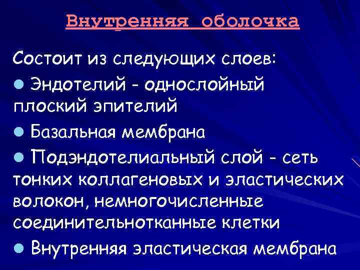 Внутренняя оболочка Состоит из следующих слоев: l Эндотелий - однослойный плоский эпителий l Базальная