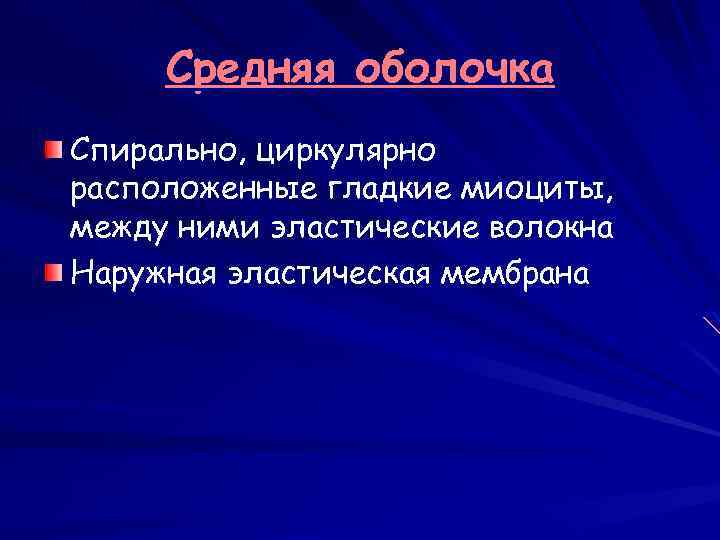 Средняя оболочка Спирально, циркулярно расположенные гладкие миоциты, между ними эластические волокна Наружная эластическая мембрана