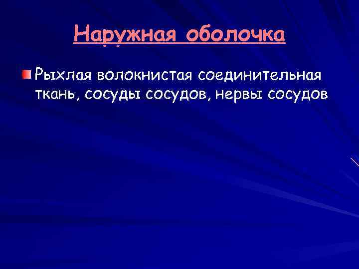 Наружная оболочка Рыхлая волокнистая соединительная ткань, сосуды сосудов, нервы сосудов 