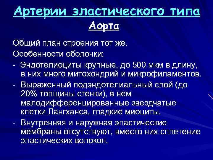 Артерии эластического типа Аорта Общий план строения тот же. Особенности оболочки: Эндотелиоциты крупные, до