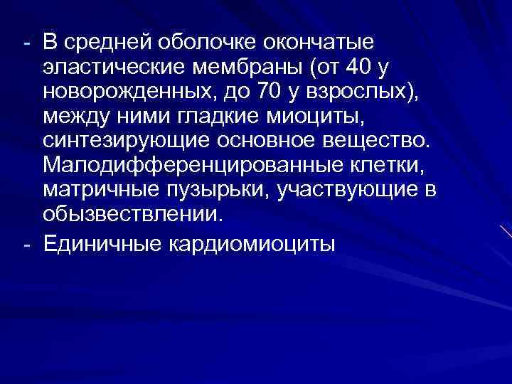  В средней оболочке окончатые эластические мембраны (от 40 у новорожденных, до 70 у