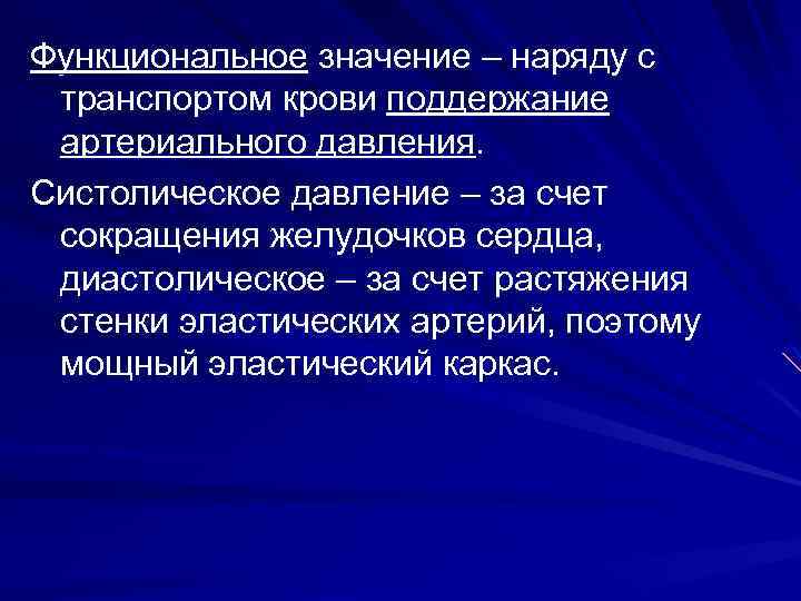 Функциональное значение – наряду с транспортом крови поддержание артериального давления. Систолическое давление – за