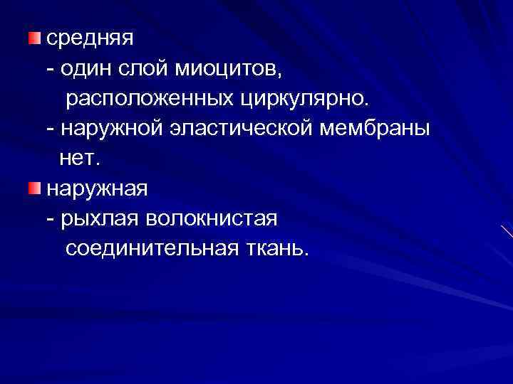 средняя один слой миоцитов, расположенных циркулярно. наружной эластической мембраны нет. наружная рыхлая волокнистая соединительная