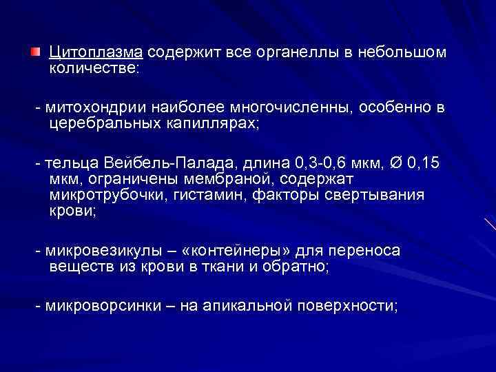 Цитоплазма содержит все органеллы в небольшом количестве: митохондрии наиболее многочисленны, особенно в церебральных капиллярах;