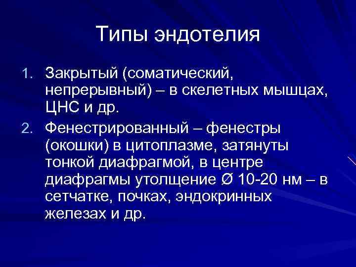 Типы эндотелия 1. Закрытый (соматический, непрерывный) – в скелетных мышцах, ЦНС и др. 2.