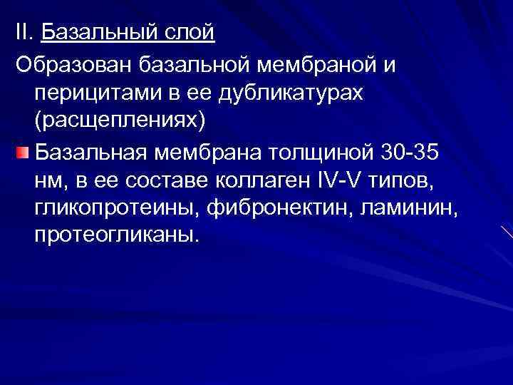 II. Базальный слой Образован базальной мембраной и перицитами в ее дубликатурах (расщеплениях) Базальная мембрана