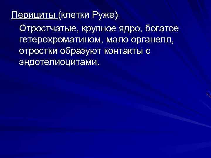 Перициты (клетки Руже) Отростчатые, крупное ядро, богатое гетерохроматином, мало органелл, отростки образуют контакты с