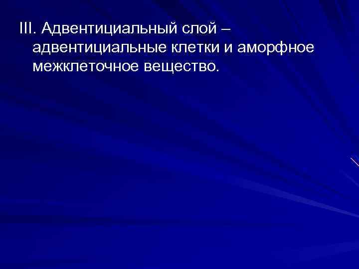 III. Адвентициальный слой – адвентициальные клетки и аморфное межклеточное вещество. 