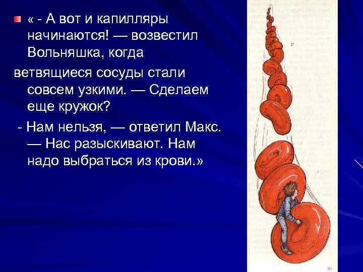  « А вот и капилляры начинаются! — возвестил Вольняшка, когда ветвящиеся сосуды стали