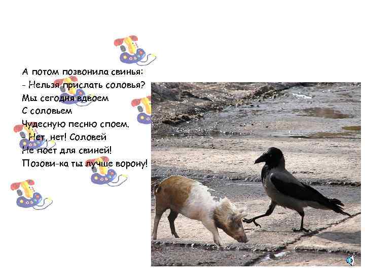 А потом позвонила свинья: - Нельзя прислать соловья? Мы сегодня вдвоем С соловьем Чудесную