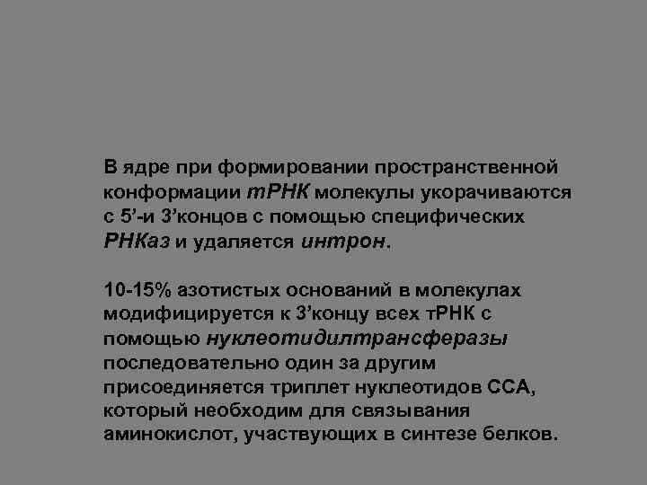 В ядре при формировании пространственной конформации т. РНК молекулы укорачиваются с 5’-и 3’концов с