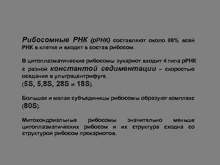 Рибосомные РНК (р. РНК) составляют около 80% всей РНК в клетке и входят в