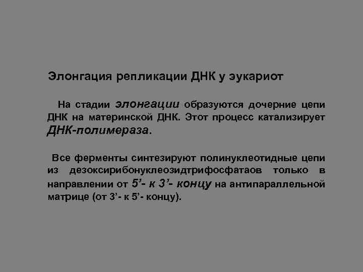 Элонгация репликации ДНК у эукариот На стадии элонгации образуются дочерние цепи ДНК на материнской