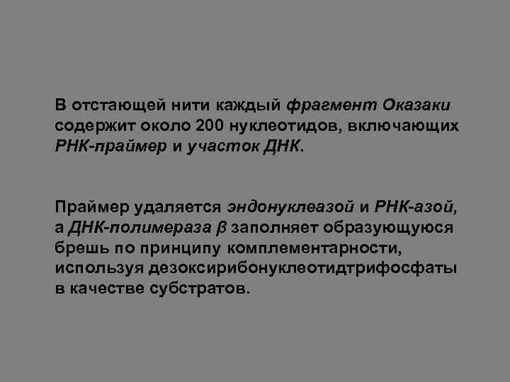 В отстающей нити каждый фрагмент Оказаки содержит около 200 нуклеотидов, включающих РНК-праймер и участок