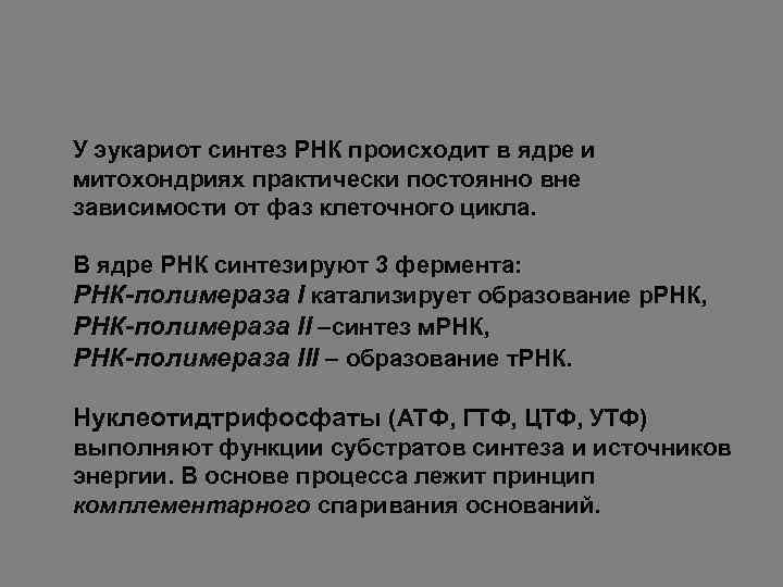 У эукариот синтез РНК происходит в ядре и митохондриях практически постоянно вне зависимости от